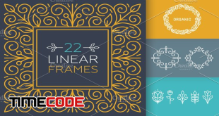 193969-22-Linear-Frames