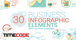 business-infographic-elements