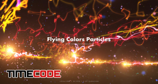 flying-colors-6