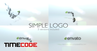  Simple Logo 