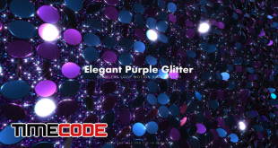  Elegant Purple Glitter 17 