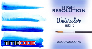 Watercolor Stamp Brushes