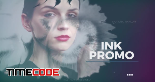 Ink Promo