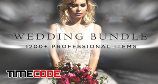 1200+ Wedding Bundle PS | LR items