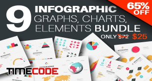Infographics Graphs & Charts Bundle