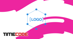 Shape Logo Intro