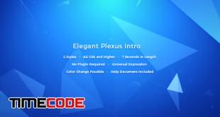  Elegant Plexus Intro 