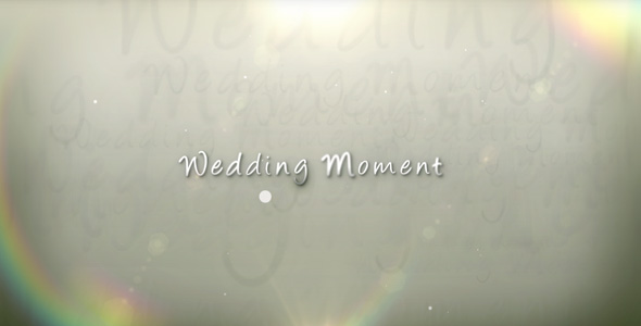  Wedding Moment 