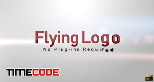  Flying Logo 
