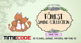FOREST SPRING COLLECTION