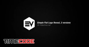  Simple Flat Logo Reveal 