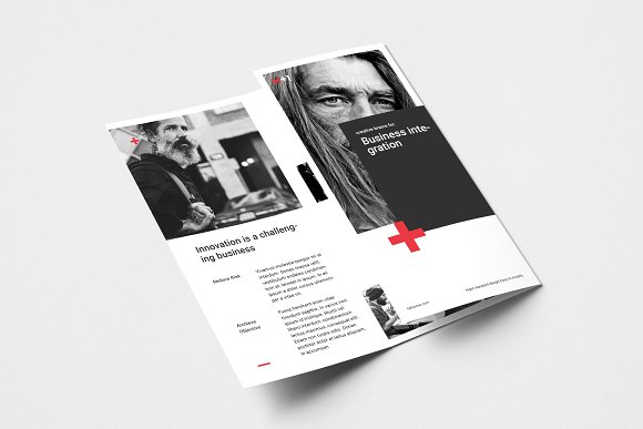 Business Trifold Brochure