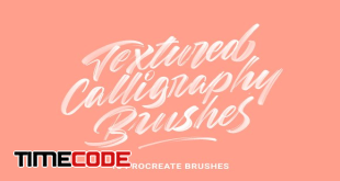 Textured Calligraphy Brushes