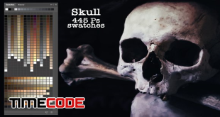 Skull Ps Swatches