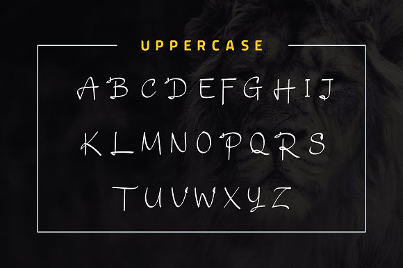 Daesy // Luxury Challigrapy Font