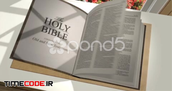  Custom 3D Bible 