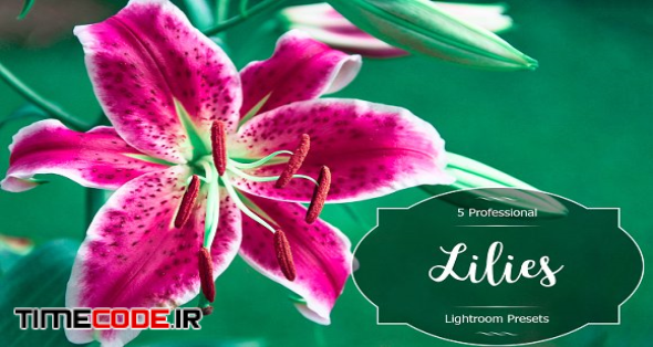 Lilies Lr Presets
