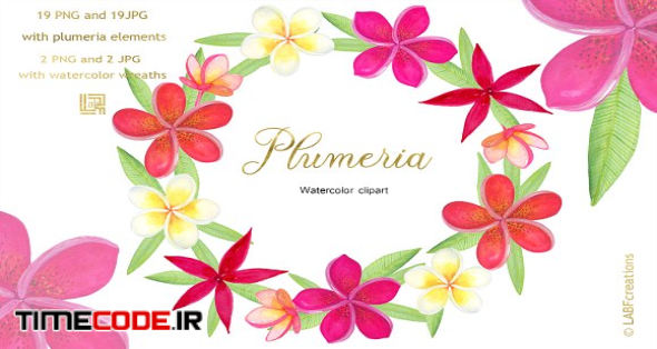 Plumeria Tropical watercolor flowers
