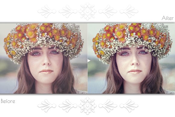 1575 Lightroom Presets Bundle