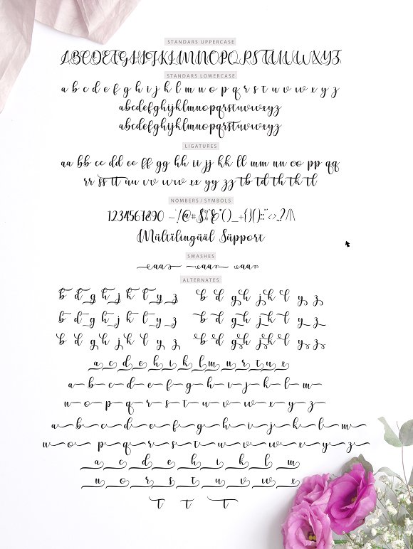 Cerilleta Script