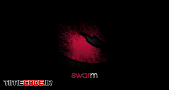  Swarm 