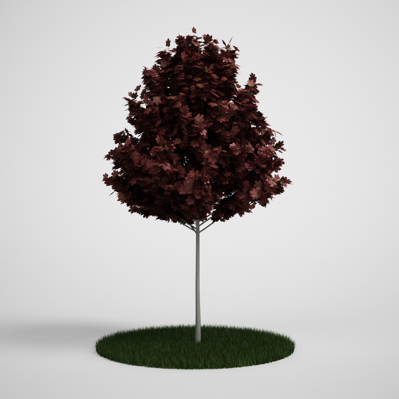 CGAxis Models Volume 5 Trees