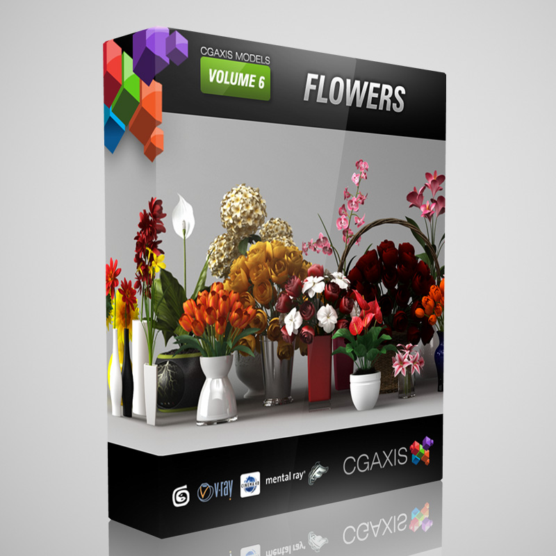 CGAxis Models Volume 6 Flowers