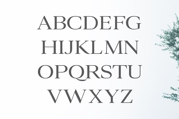 Ammar A Modern Serif