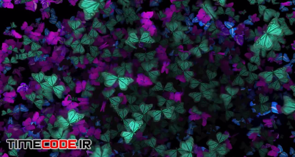 Background Of Flapping Butterflies