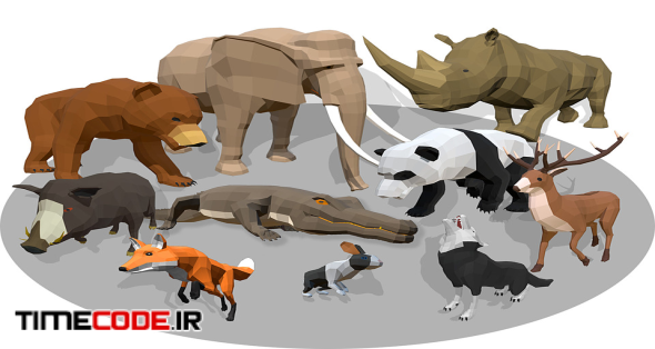 Animals Africa Cartoon Collection - Animated 01