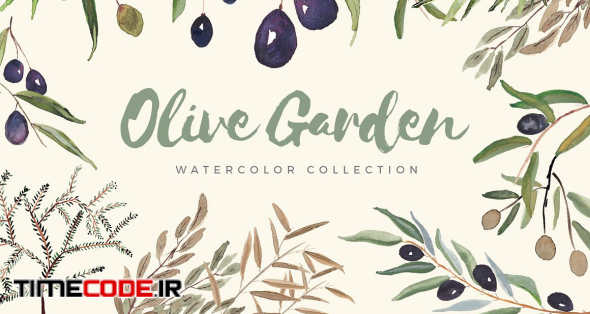 Olive Garden Watercolor Collection