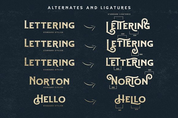 Hartons Branding Typeface (Extras)