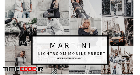 Mobile Lightroom Preset MARTINI
