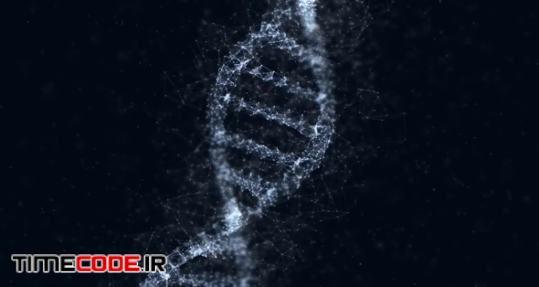 Digital DNA Structure