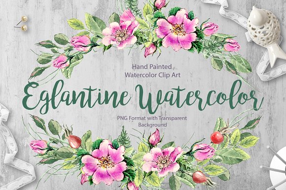 Watercolor flower Clip Art – Eglanti