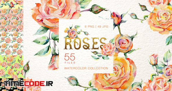 Stylish rose Watercolor png