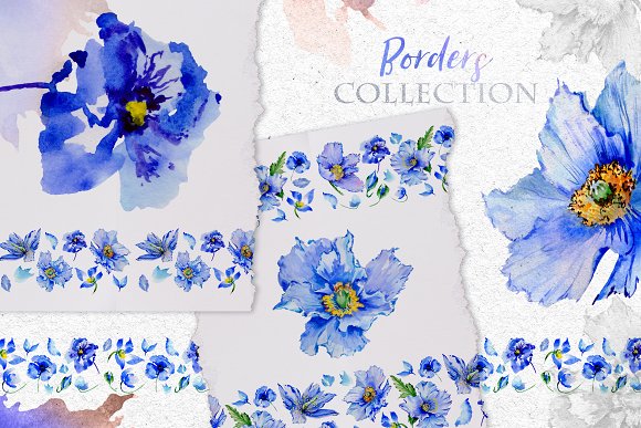 Blue Poppies Watercolor png
