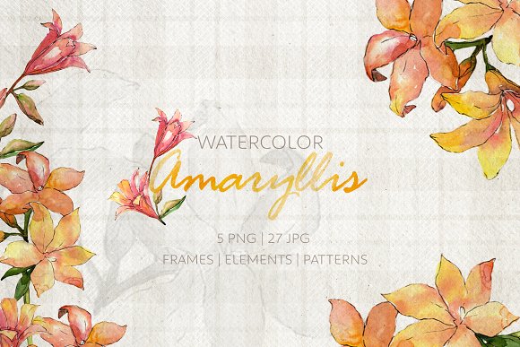 Amaryllis Watercolor png