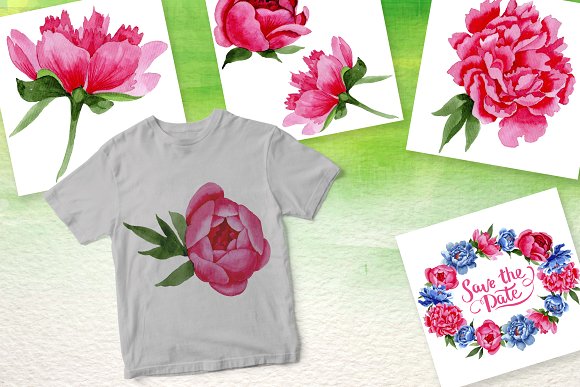 Peony Watercolor png