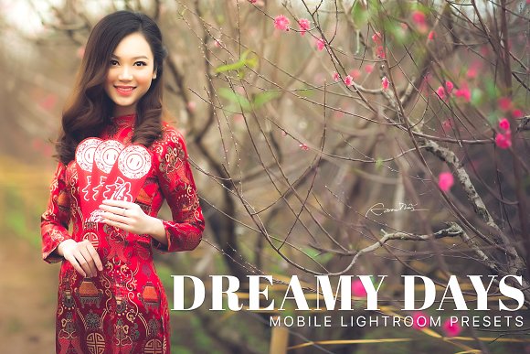Dreamy Days Lightroom Mobile Presets