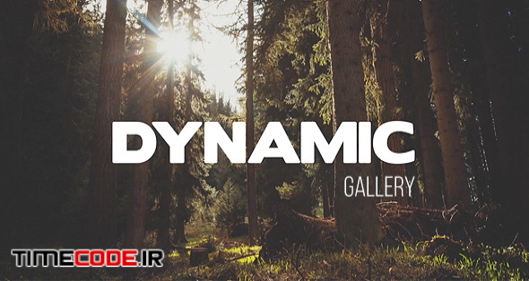 Dynamic Gallery 