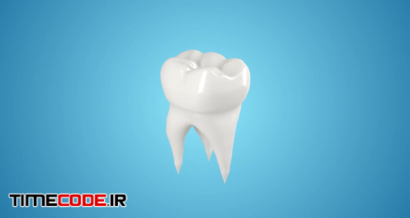 Tooth Loop Pack