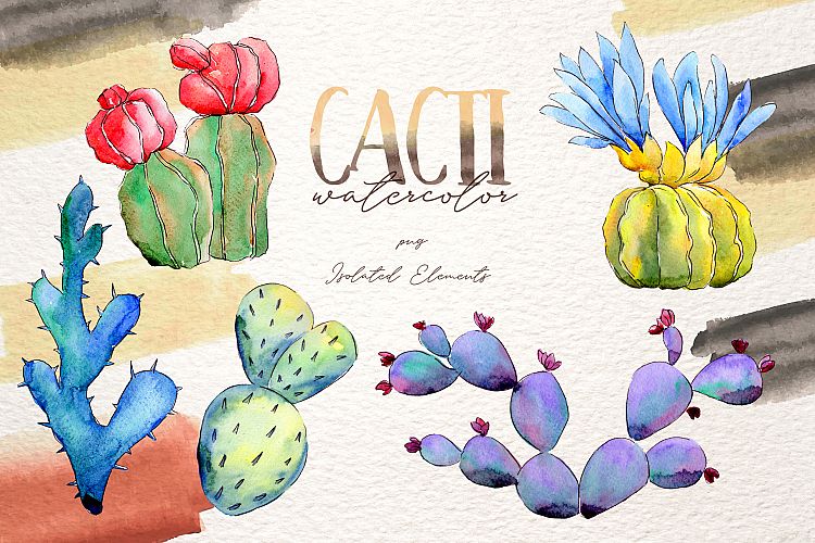 Cool colorful cacti PNG watercolor set