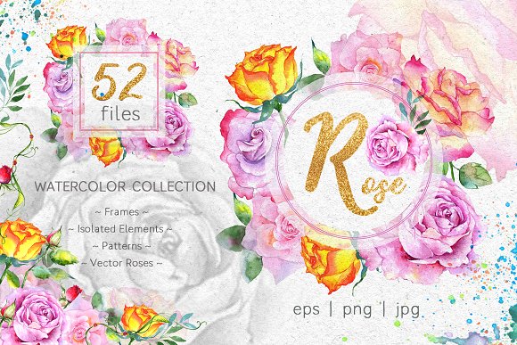 Pink roses collection watercolor