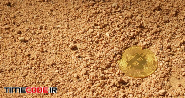Bitcoin Reveal
