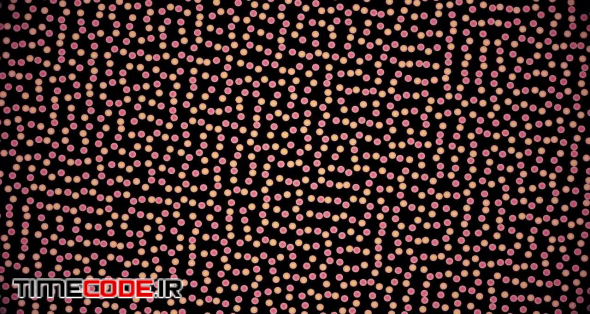 Pink-Yellow Dots Square Motion