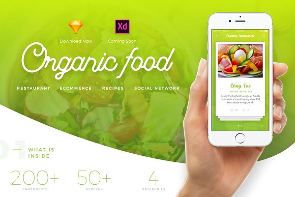 Organic Food UI Kit - 4 In 1