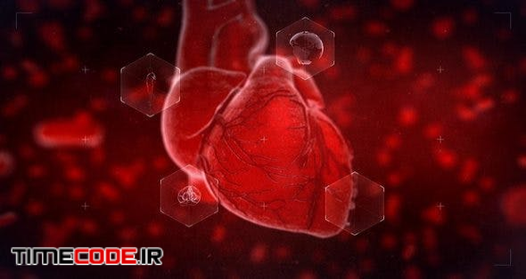  Heart Reveal 23356323 