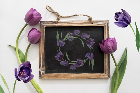 Wonderful Black Tulips PNG Set