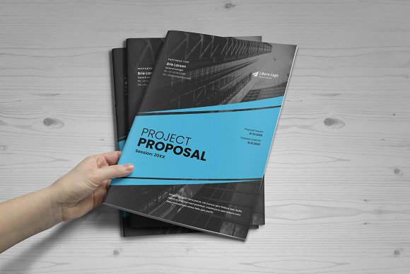 Project Business Proposal V5